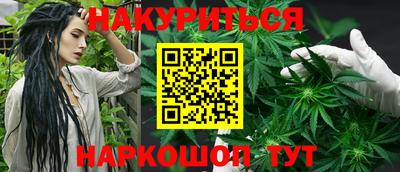 сатива Будённовск