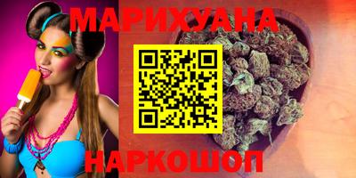 сатива Будённовск