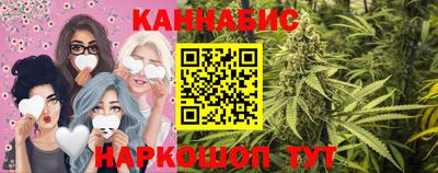 сатива Будённовск