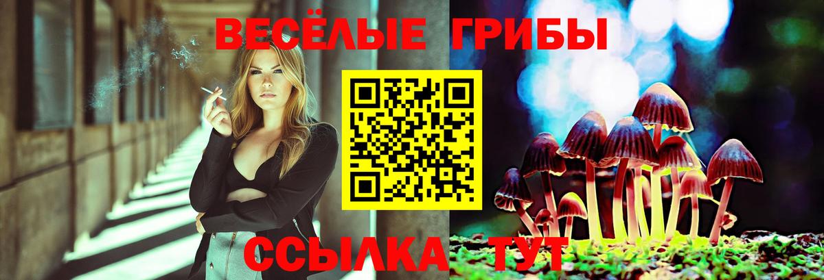 Псилоцибиновые грибы ЛСД  Вход с VPN  Псилоцибиновые грибы ЛСД  Ростов-на-Дону 